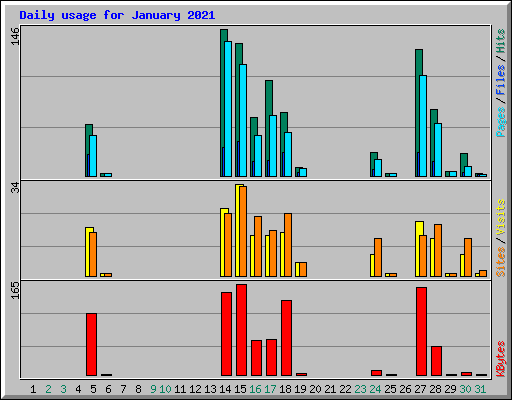 Daily usage for January 2021