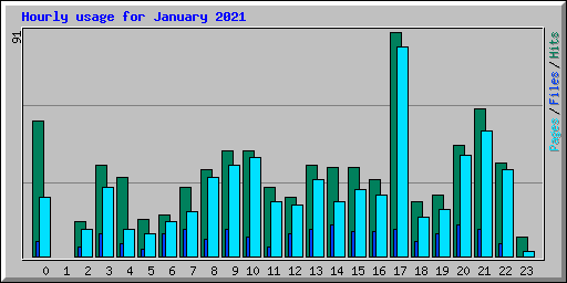 Hourly usage for January 2021