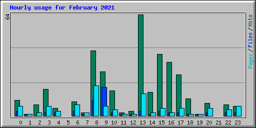 Hourly usage for February 2021