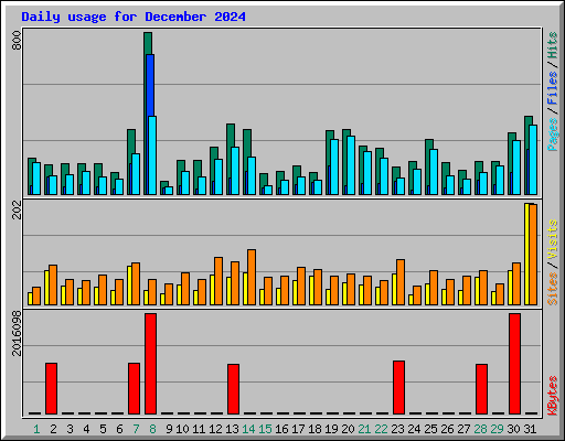 Daily usage for December 2024