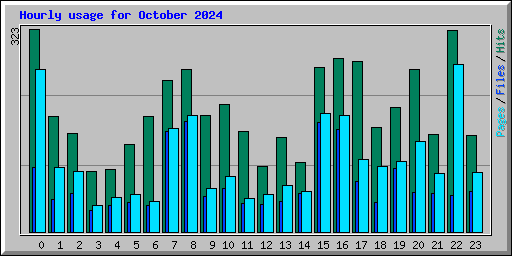 Hourly usage for October 2024