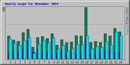 Hourly usage for November 2024