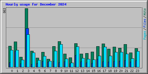 Hourly usage for December 2024