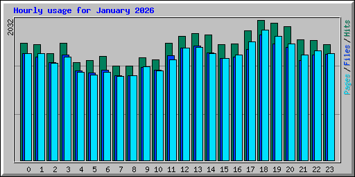 Hourly usage for January 2026