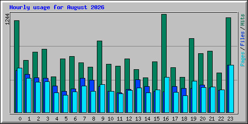 Hourly usage for August 2026